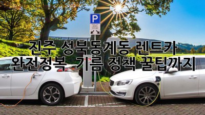 진주 성북동/계동 렌트카 완전정복! 🚗💨 기름 정책 꿀팁까지